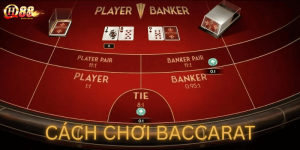 Cách Chơi Baccarat Từ Cơ Bản Đến Chiến Thuật – Hướng Dẫn Dành Cho Người Mới
